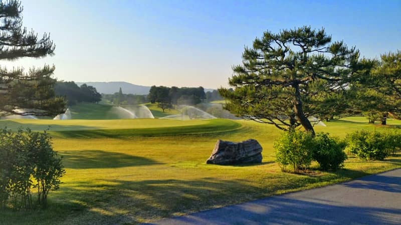 Golf Courses Worth Playing In South Korea