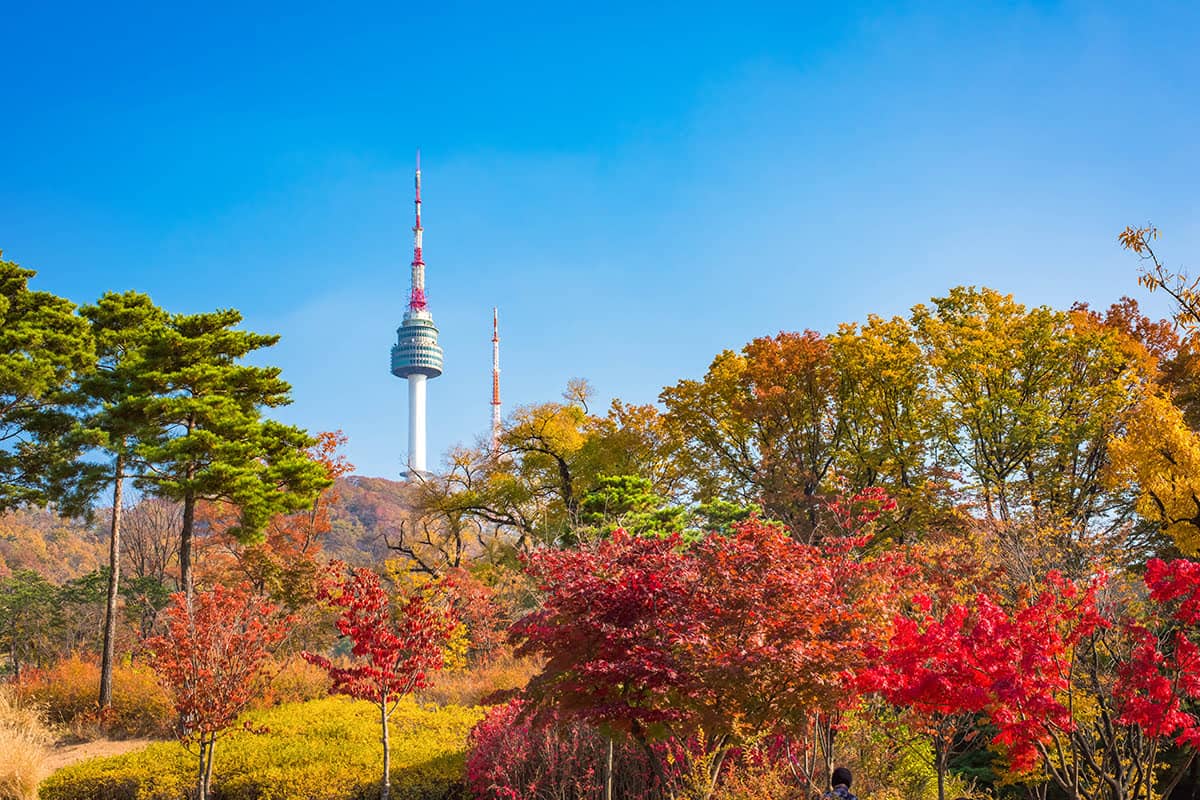 9 Seoul Hotspots (Plus Directions)