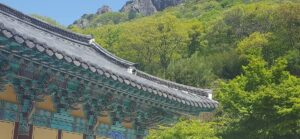 Travelling South Korea|Mountain Temples: Best Autumn Location