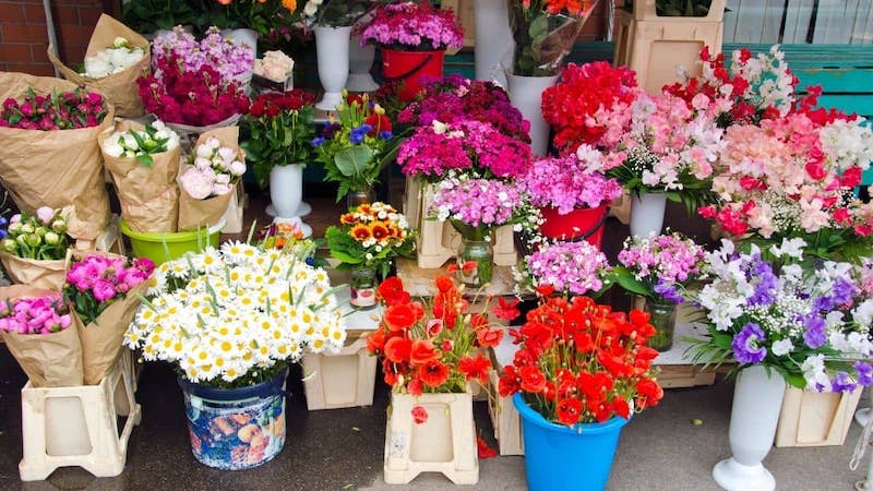 Top Flower Markets In Seoul